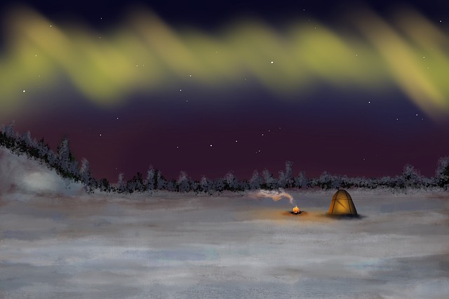 Free aurora borealis polar lights northern lights illustration