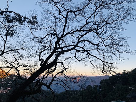 Natureza, Panorama, Céu, Árvore, Natural