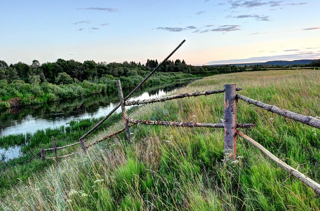 Free Summer Russia photo and picture