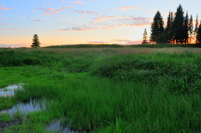 Free Summer Russia photo and picture