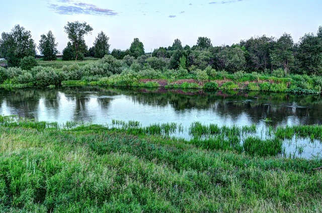 Free Summer Russia photo and picture
