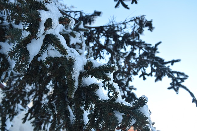 Free Snow Ice photo and picture
