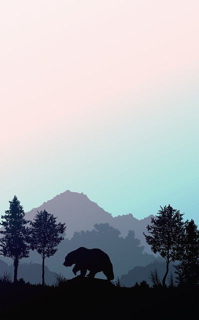 Sunset, Tree, Landscape, Sky, Silhouette
