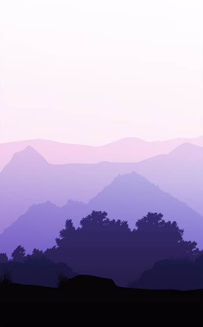 Sunset, Tree, Landscape, Sky, Silhouette