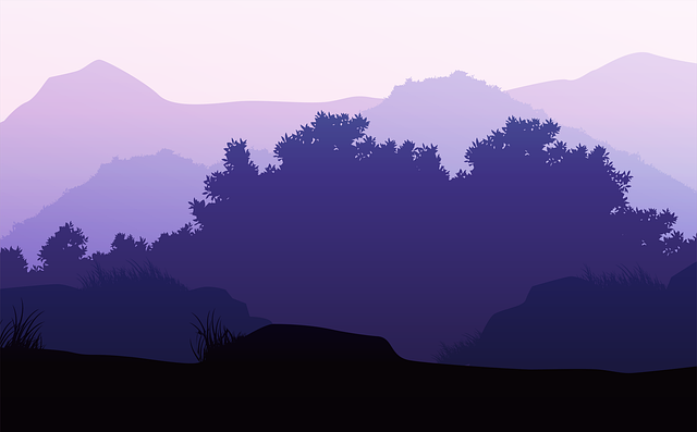 Sunset, Tree, Landscape, Sky, Silhouette