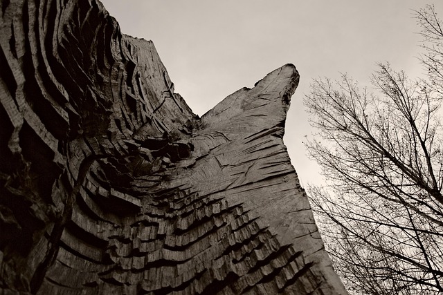 Free Art Sculpture photo and picture
