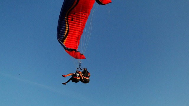 Free Free Fly Universal photo and picture