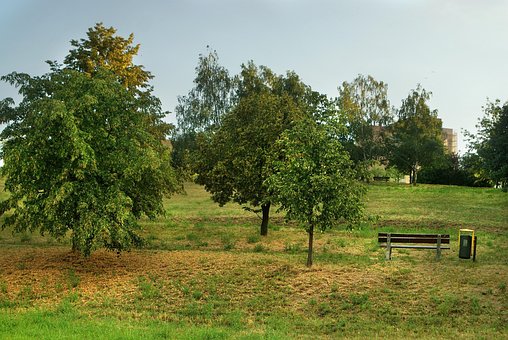 Free Bench Park photo and picture