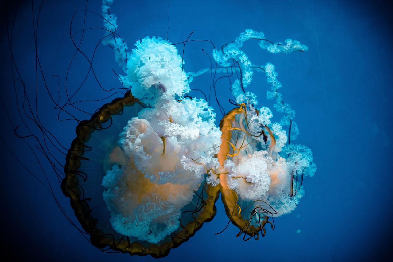 Water - free online jigsaw puzzle photo