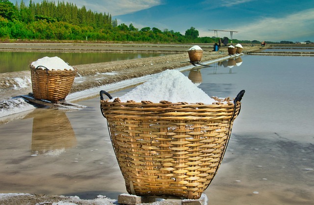 Free Basket Salt photo and picture