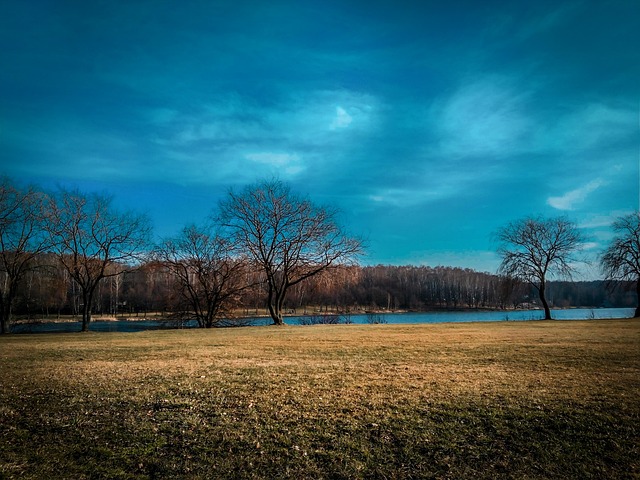 Herbst, Landschaft, Natur, Bäume, Polen