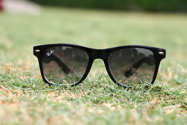 Free Sunglass Shades photo and picture