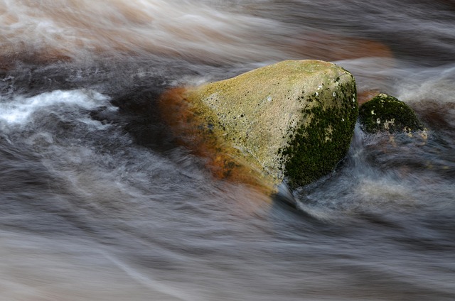 Free Vydra River Wild River photo and picture