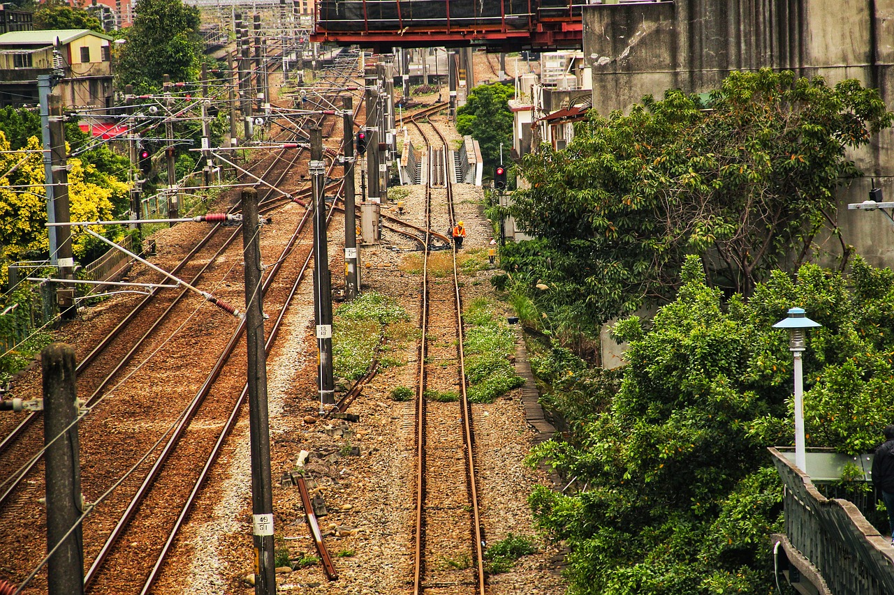 Train - free online jigsaw puzzle photo