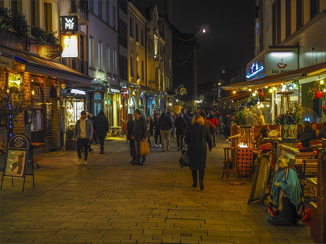 Free Historic Center Night photo and picture