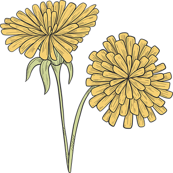 Free Flower Flower Background vector and picture