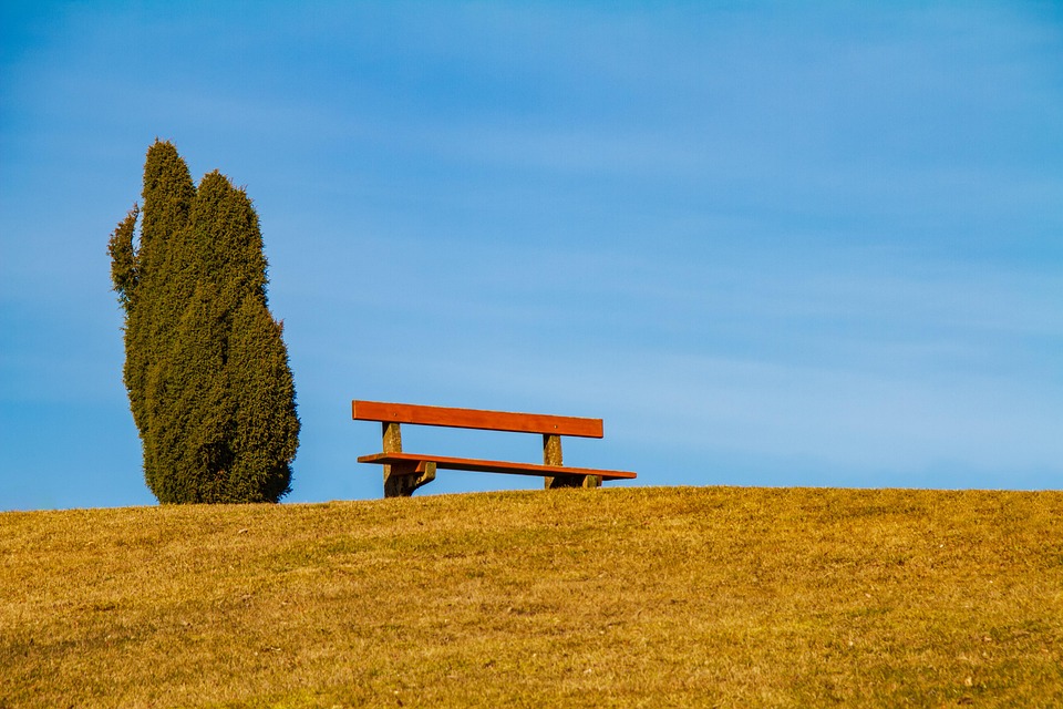 Landscape, Bank, Tree, Hill, Blue Sky, Nature, Scenic