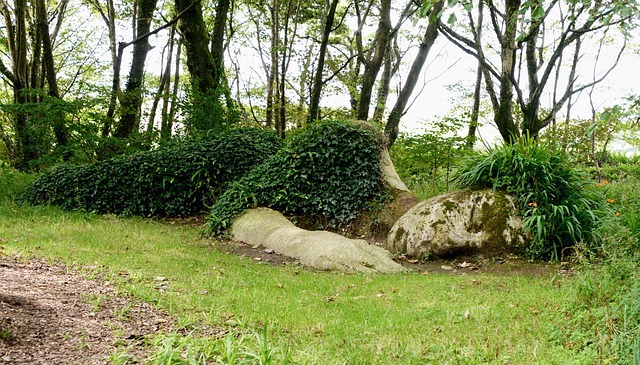 Sovende Statue, Tabte Haver I Heligan