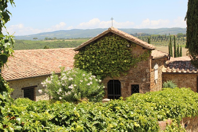 Free Banfi Tuscany photo and picture