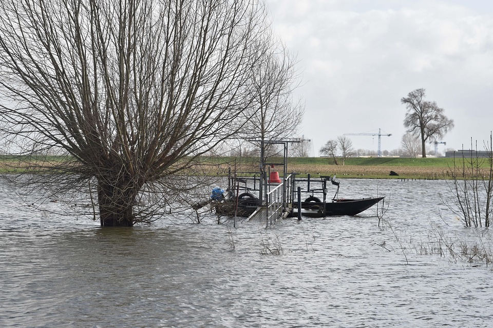 High Water, River, Flood, Water, Climate Change, Storm