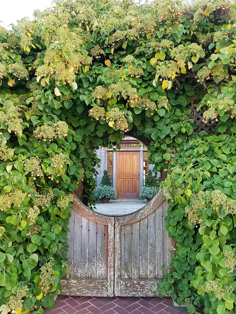 Free Gate Michigan photo and picture