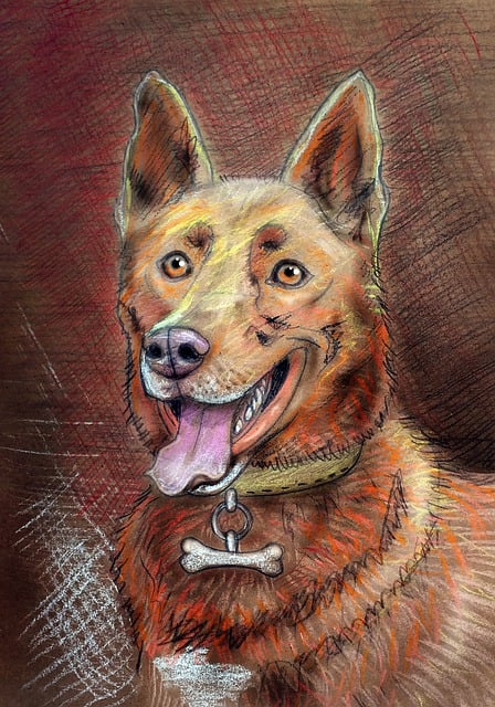 Free dog pet ginger illustration