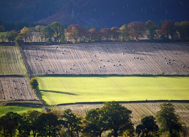 Free Autumn Fields photo and picture