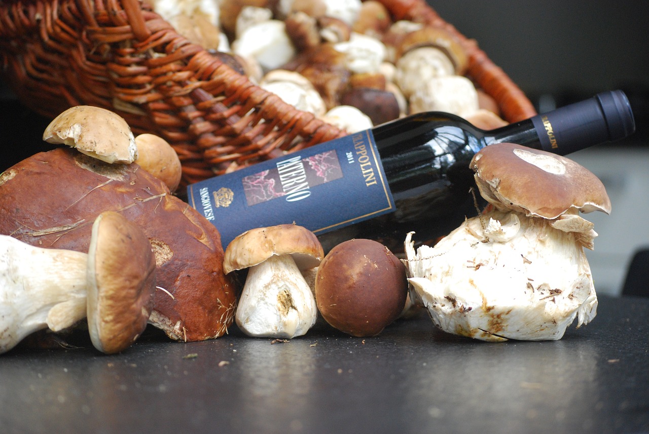 Wine Fungus Mushrooms Free photo on Pixabay Pixabay