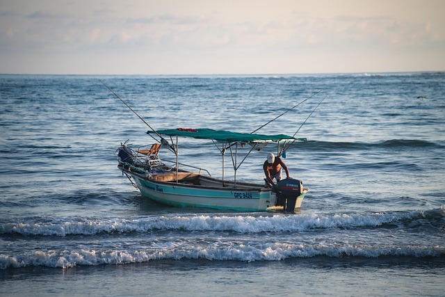 Free Fisherman Nature photo and picture