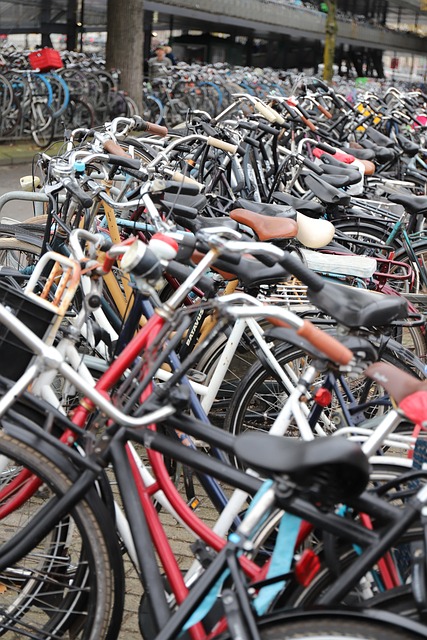Free Amsterdam Bikes photo and picture