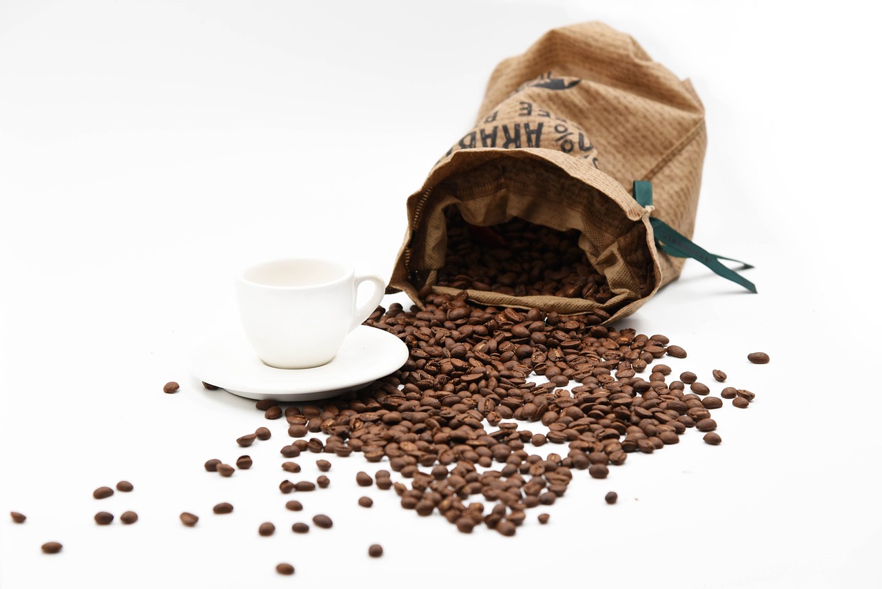Forest Espresso specialty coffee