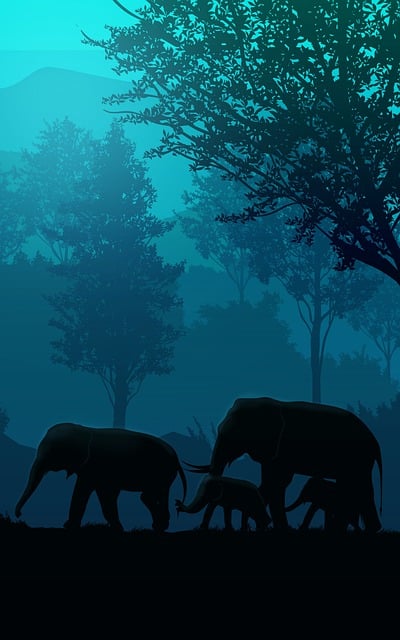 Sunset, Elephant, Animal, Horse