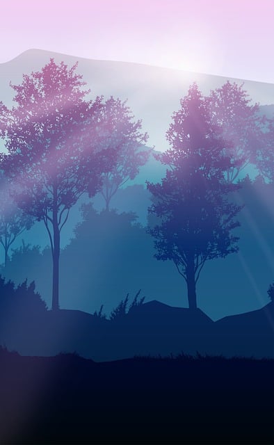 Sunset, Tree, Landscape, Sky, Silhouette