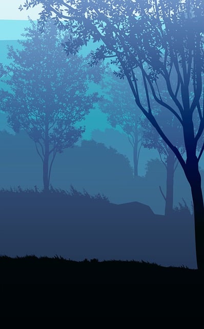 Sunset, Tree, Landscape
