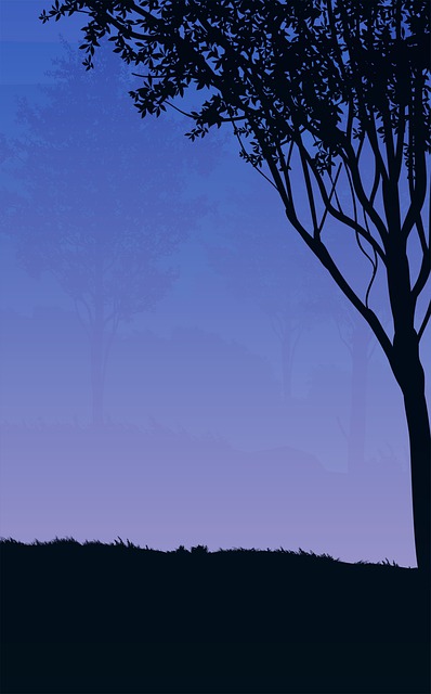 Sunset, Tree, Landscape, Sky, Silhouette