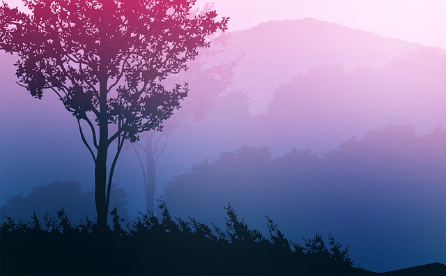 Sunset, Tree, Landscape, Sky, Silhouette