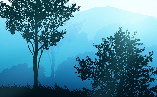 Sunset, Tree, Landscape, Sky, Silhouette