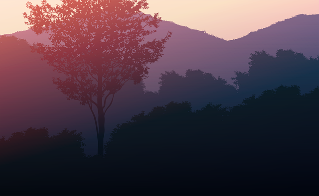 Sunset, Tree, Landscape, Sky, Silhouette