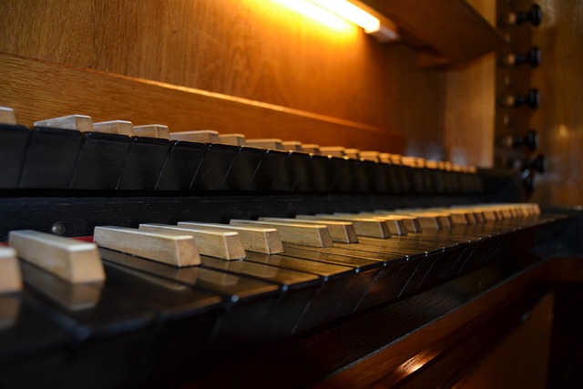 Free Organ Keyboard photo and picture