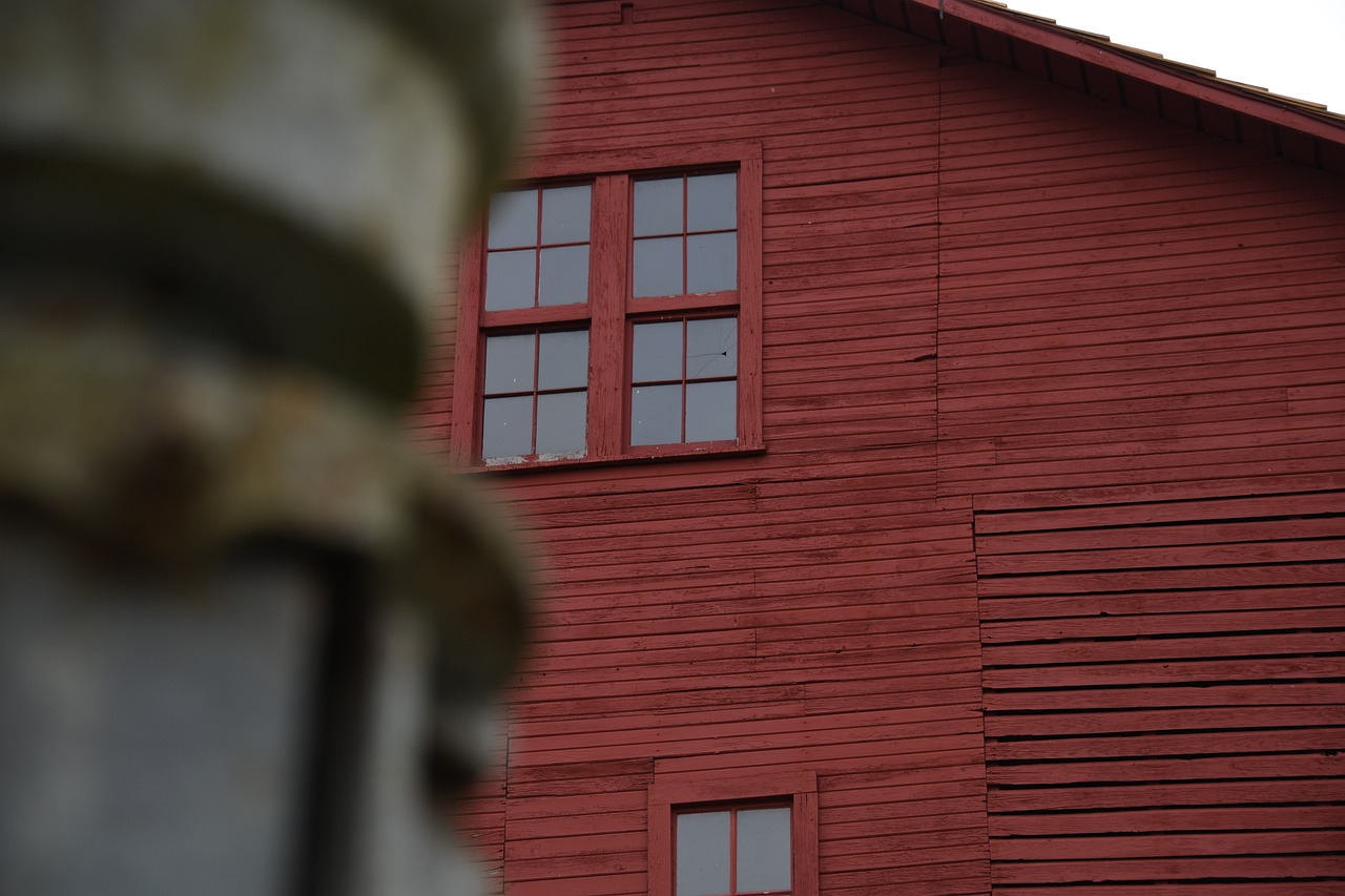 Window - free online jigsaw puzzle photo