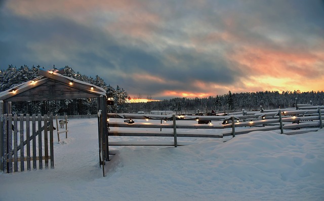 Free Sky Burning photo and picture