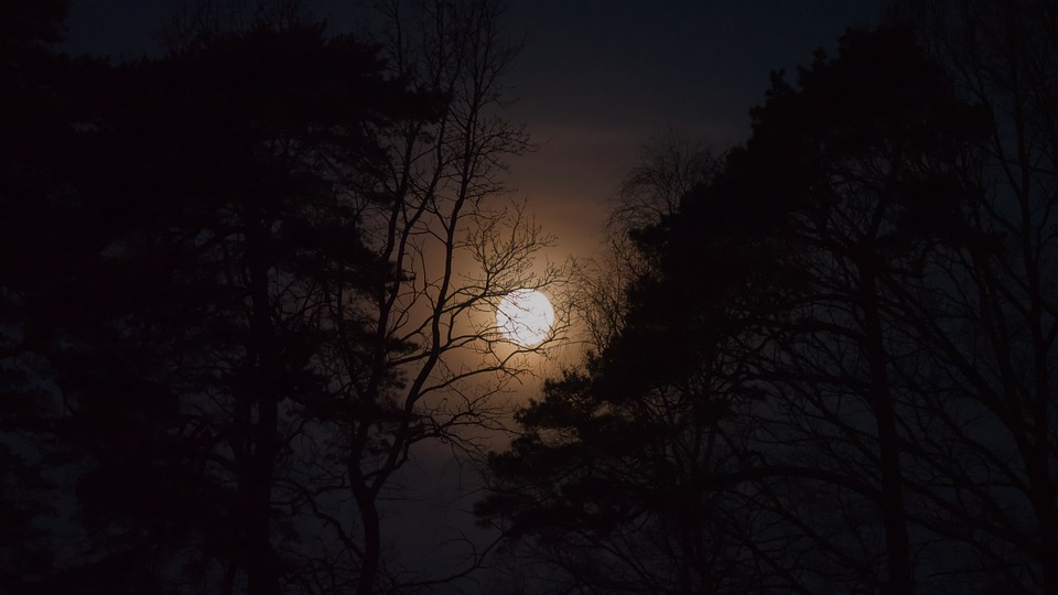 Luna Llena Noche Luz De La - Foto gratis en Pixabay