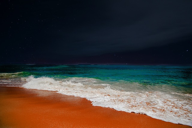 Free Beach Ocean photo and picture