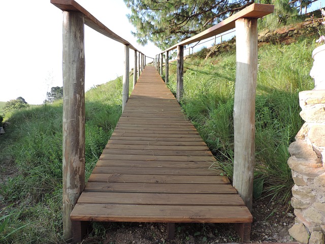 Free Walkway Nature photo and picture