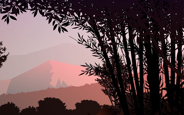 Tree, Forest, Nature, Sky, Trees