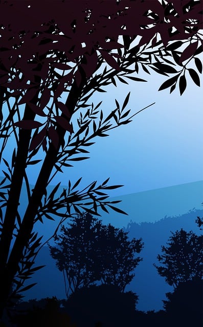 Tree, Forest, Nature, Sky