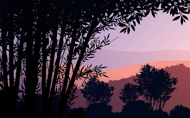 Tree, Forest, Nature, Sky, Trees
