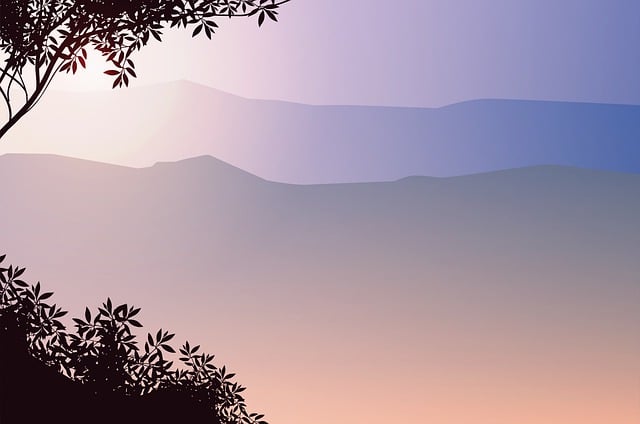 Tree, Forest, Nature, Sky, Trees
