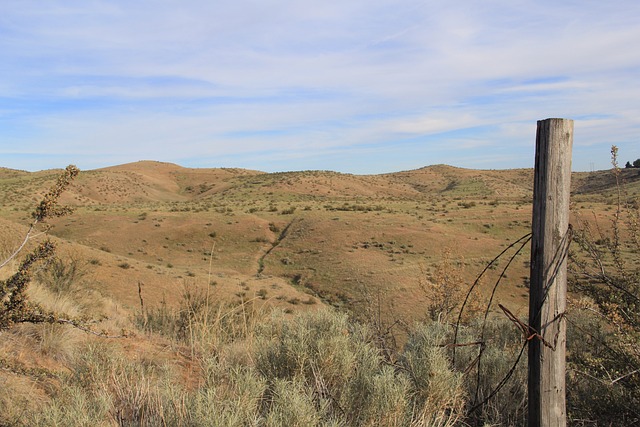 Free Mountain Hills photo and picture