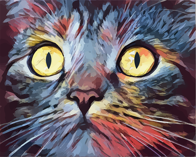 Free cat face whiskers vector